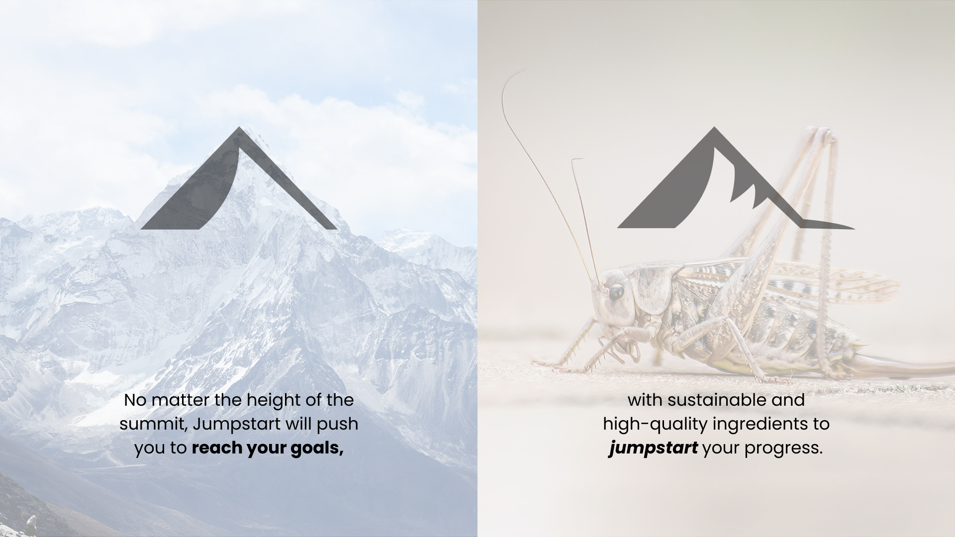 Side by side images of a mountain and a cricket with text that says No matter the height of the summit, Jumpstart will push you to reach your goals, with sustainable and high-quality ingredients to jumpstart your progress.