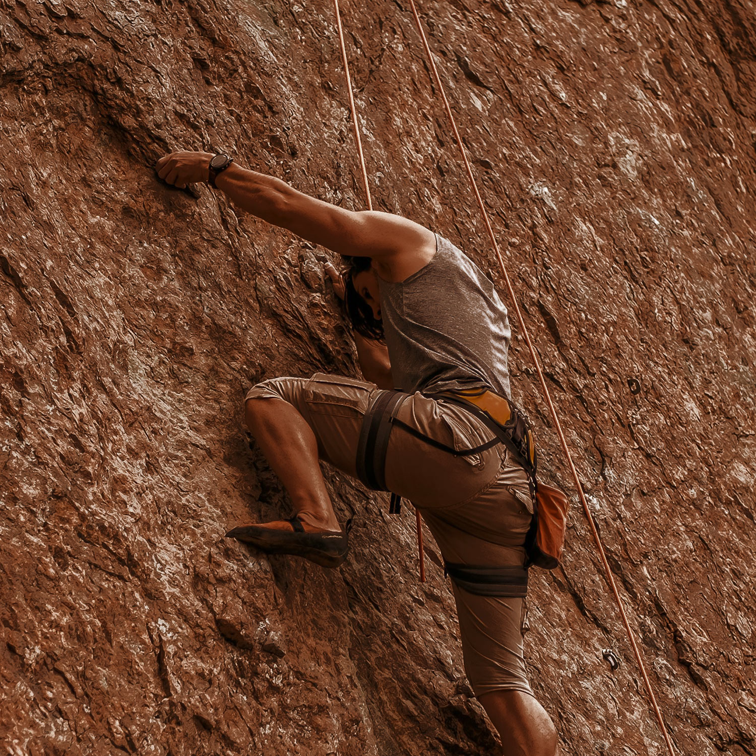 Jumpstart sustainable cricket protein powder packaging project sneak peek.